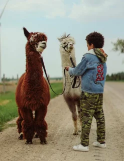 Lola + The Boys Denim Snake Sherpa Jacket