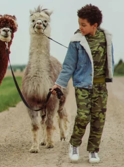 Lola + The Boys Denim Snake Sherpa Jacket