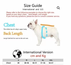 Lola + The Boys Lola + The Pups “Woof “ Puppy Hoodie