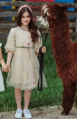 Lola + The Boys Girls Golden Star Party Dress 12 Lola + The Boys Girls Golden Star Party Dress