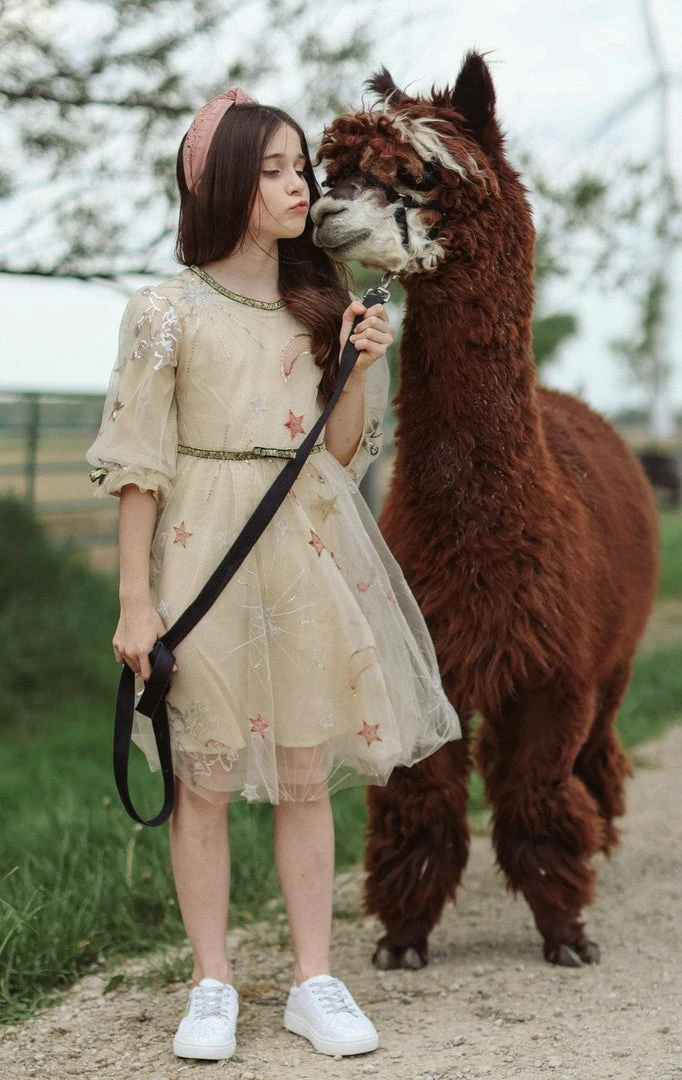 Lola + The Boys Girls Golden Star Party Dress 5 Lola + The Boys Girls Golden Star Party Dress