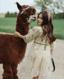 Lola + The Boys Girls Golden Star Party Dress 14 Lola + The Boys Girls Golden Star Party Dress