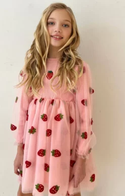Lola & The Boys Strawberry Sheer Sleeve Dress New Arrivals