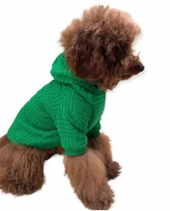 Lola + The Boys Fashionista Pup Emerald Hoodie 9 Lola + The Boys Fashionista Pup Emerald Hoodie