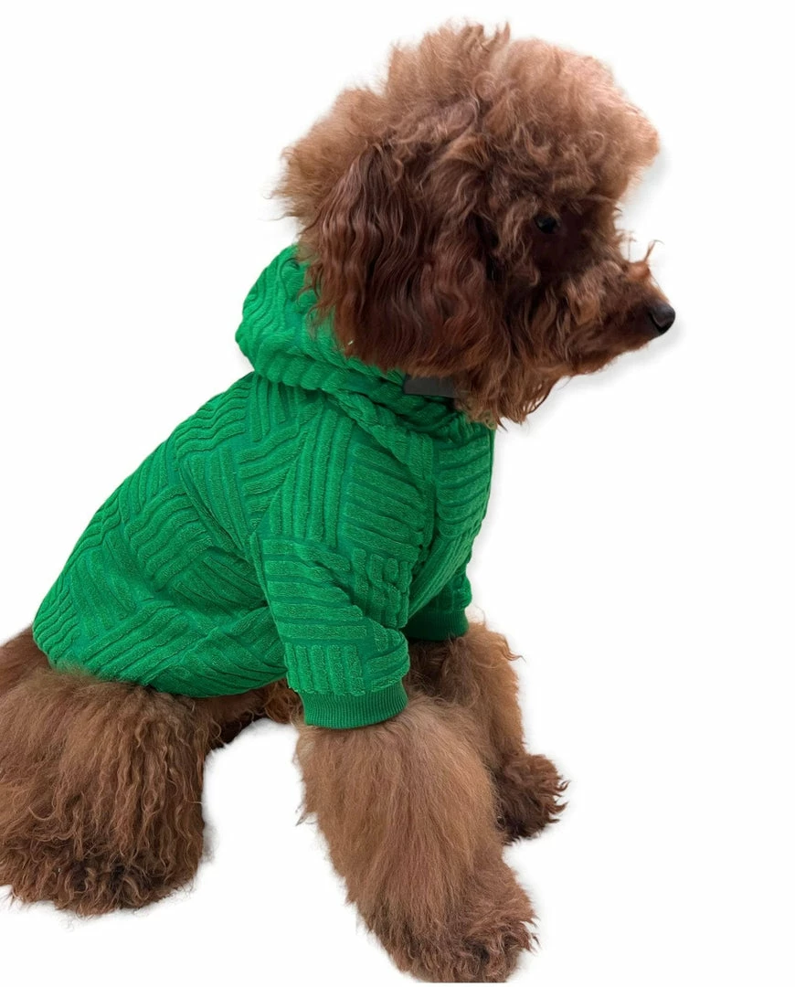 Lola + The Boys Fashionista Pup Emerald Hoodie 6 Lola + The Boys Fashionista Pup Emerald Hoodie