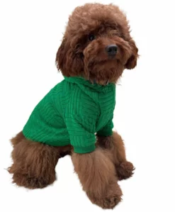 Lola + The Boys Fashionista Pup Emerald Hoodie