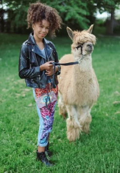 Lola + The Boys Infinity Stone Gem Vegan Jacket