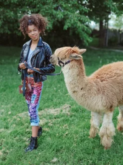 Lola + The Boys Infinity Stone Gem Vegan Jacket