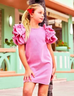 Lola + The Boys Pink Princess Ruffle Denim Dress New Arrivals