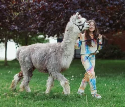 Lola + The Boys Be Happy Tie Dye Cropped Set Girls 27 Lola + The Boys Be Happy Tie Dye Cropped Set Girls