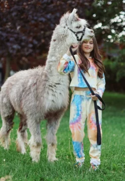 Lola + The Boys Be Happy Tie Dye Cropped Set Girls 28 Lola + The Boys Be Happy Tie Dye Cropped Set Girls