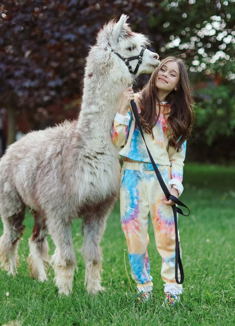 Lola + The Boys Be Happy Tie Dye Cropped Set Girls 7 Lola + The Boys Be Happy Tie Dye Cropped Set Girls