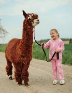 Lola + The Boys New Arrivals Fuzzy Flash Set