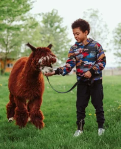 Lola + The Boys Camo