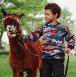 Lola + The Boys Camo